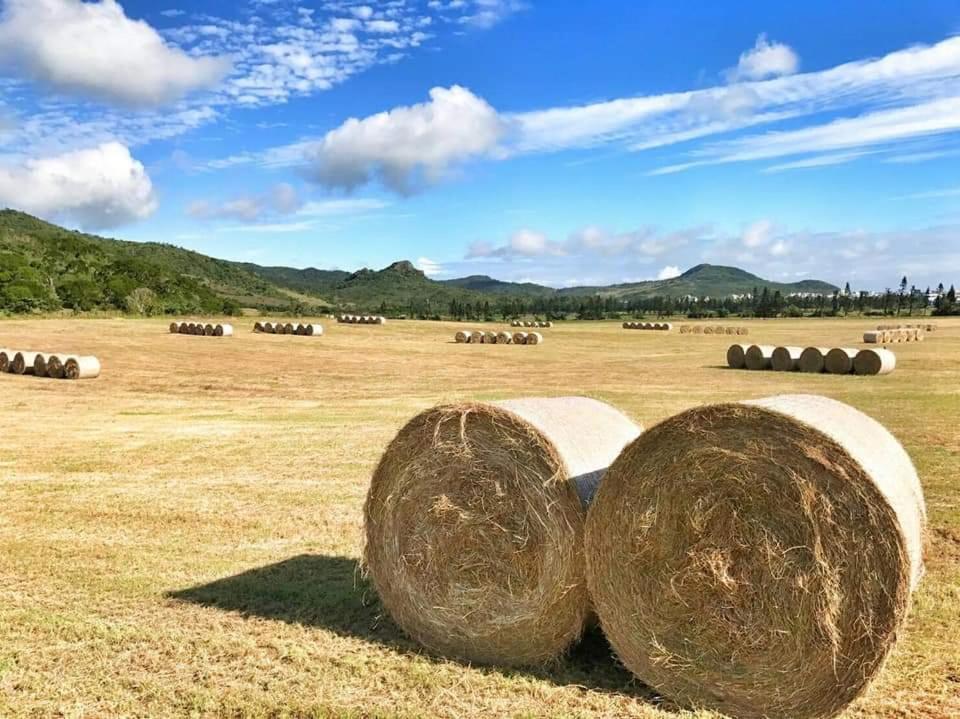 مبيت وإفطار كنتيج 獨棟山水心旅棧 المظهر الخارجي الصورة